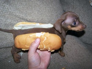 Hot Dog, so to speak